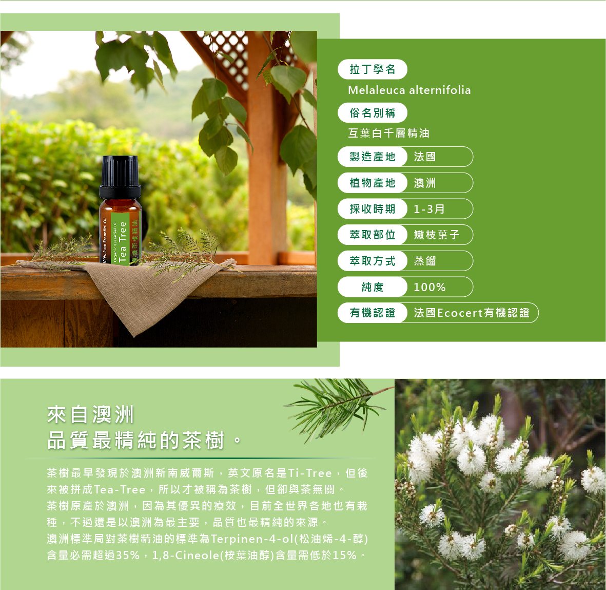 澳洲茶樹精油 澳洲茶樹精油
