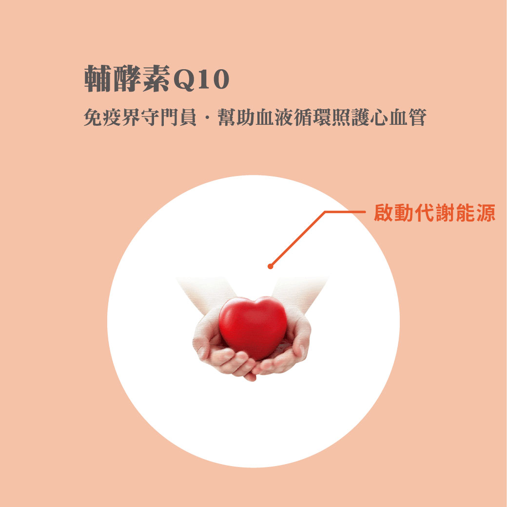 輔酵素Q10，幫助血液循環，守護心血管健康。