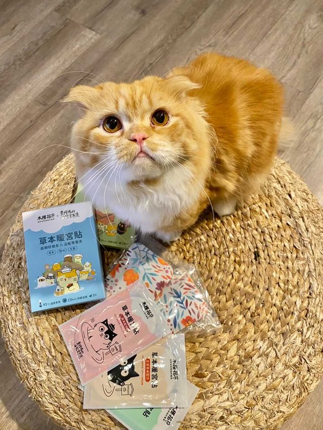 經痛舒緩木槿花暖宮貼 黃阿瑪的後宮生活-聯名暖宮貼暖腳套