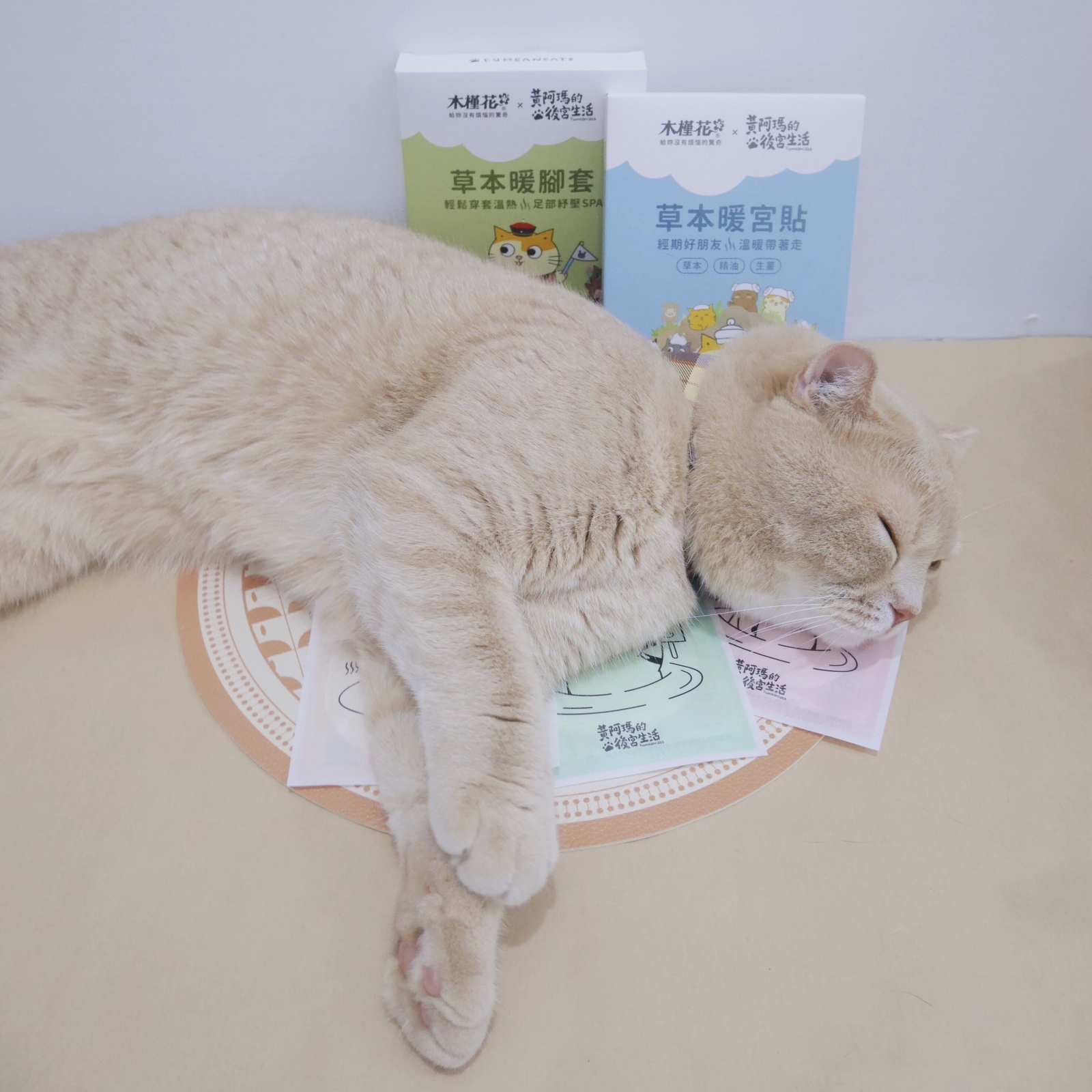 經痛舒緩木槿花暖宮貼 黃阿瑪的後宮生活-聯名暖宮貼暖腳套