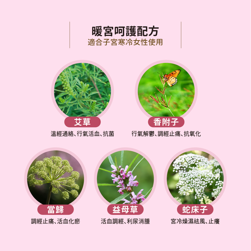 艾草、蛇床子、當歸、益母草....等漢方成分，融合在木槿花後宮日用衛生棉中